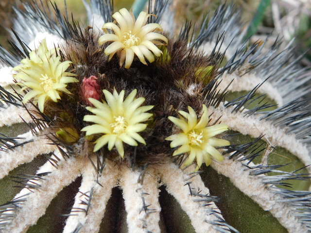 DSCN4573.JPG
