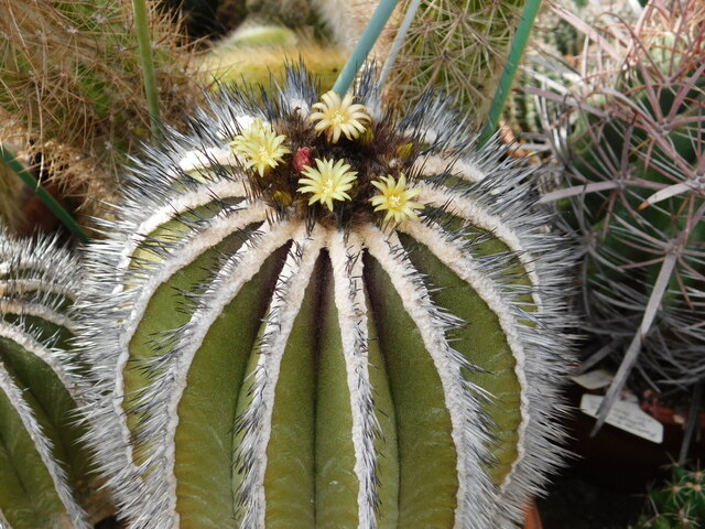 DSCN4574.JPG