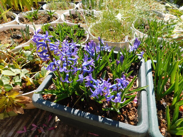 DSCN4608.JPG