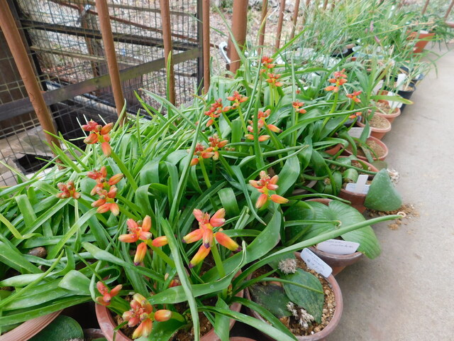 DSCN4673.JPG