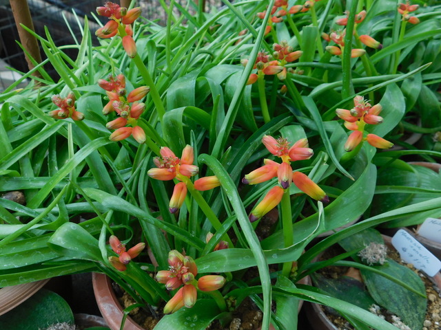 DSCN4675.JPG