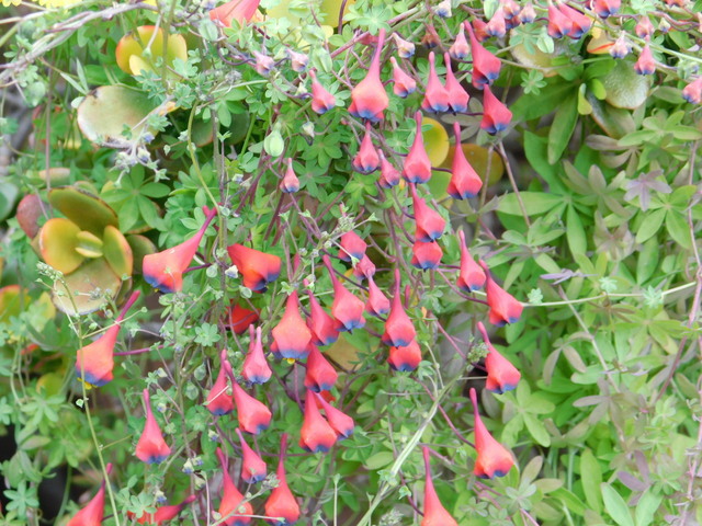 DSCN4682.JPG