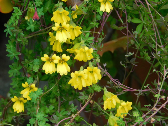 DSCN4685.JPG