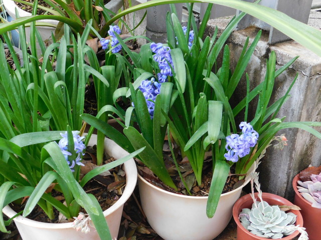 DSCN4691.JPG