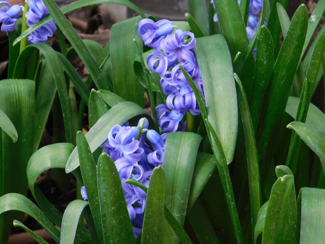 DSCN4693.JPG
