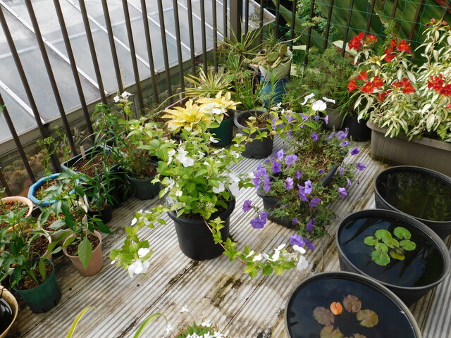 DSCN4724.JPG
