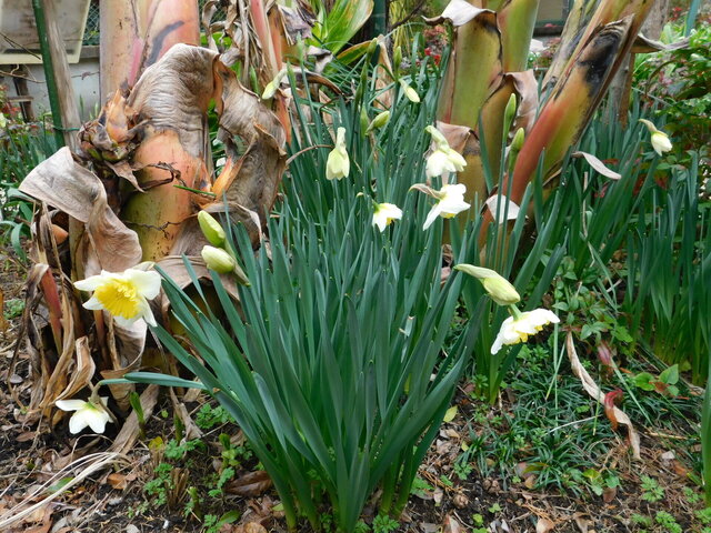 DSCN4745.JPG