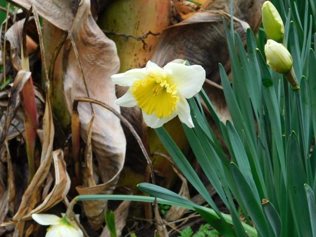 DSCN4748.JPG