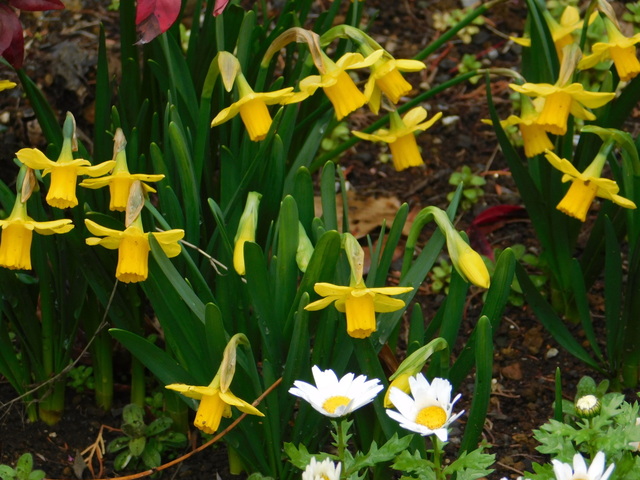 DSCN4750.JPG