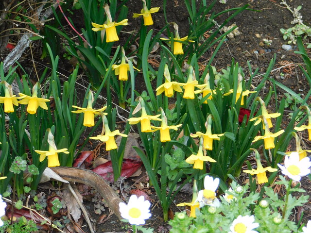 DSCN4751.JPG