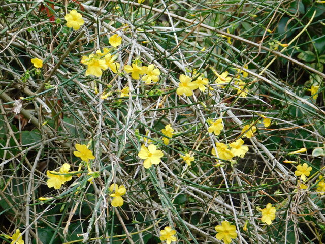 DSCN4760.JPG