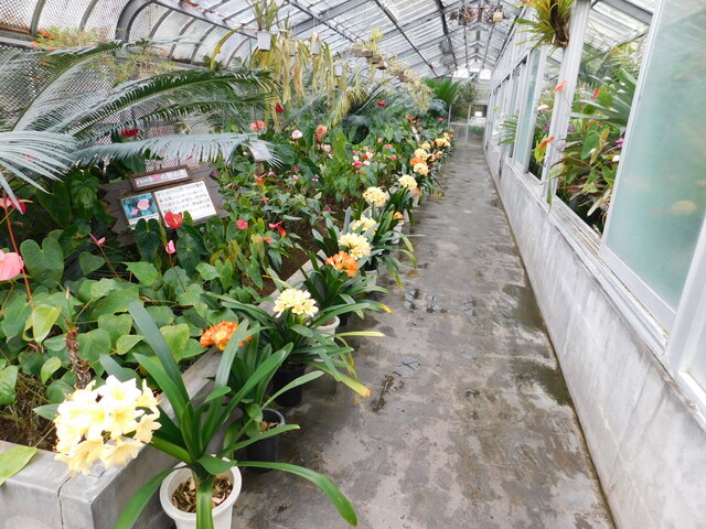 DSCN4797.JPG
