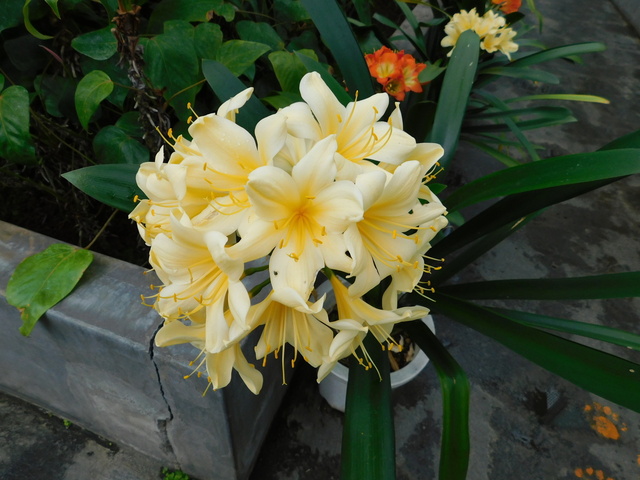 DSCN4798.JPG