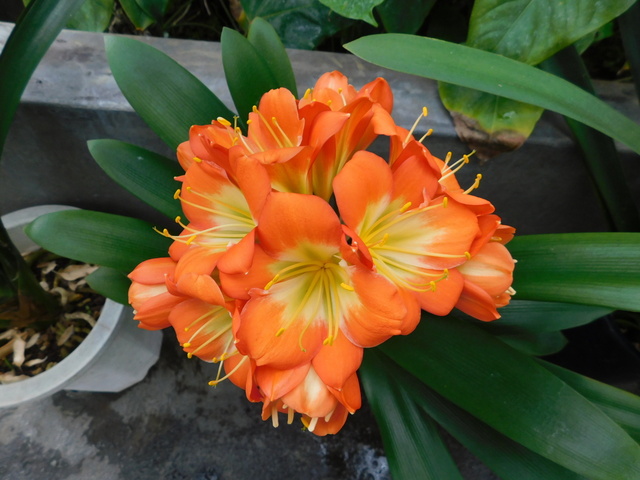 DSCN4800.JPG