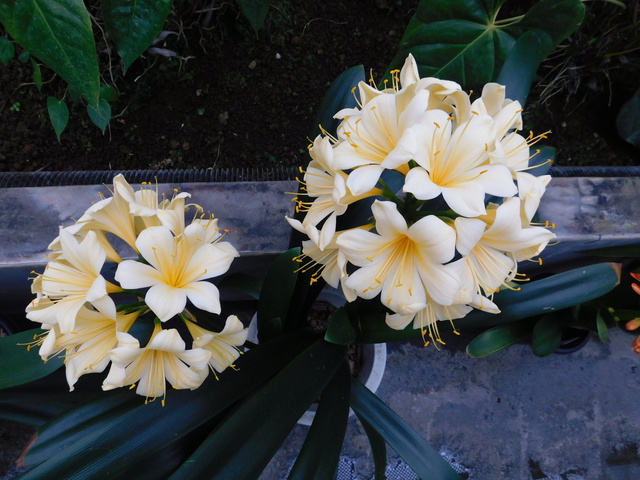 DSCN4802.JPG
