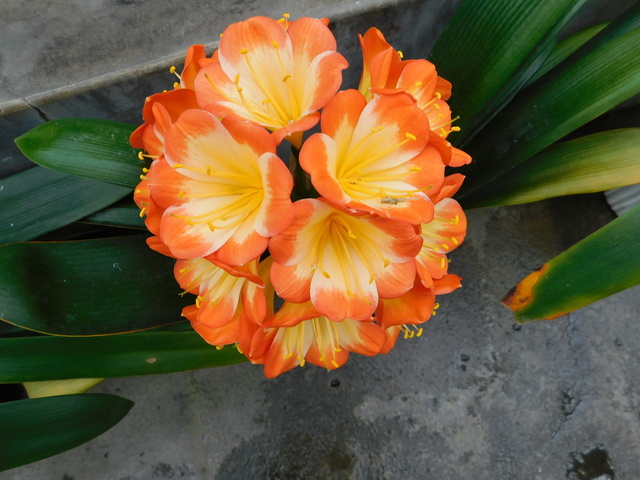 DSCN4804.JPG