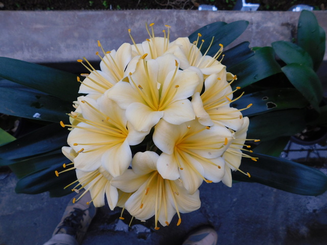 DSCN4810.JPG