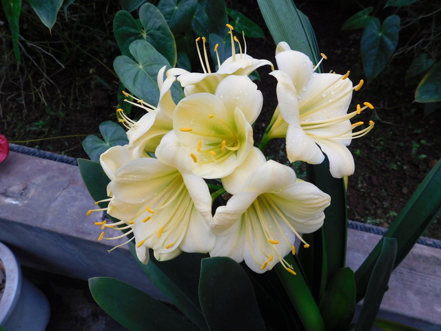 DSCN4812.JPG