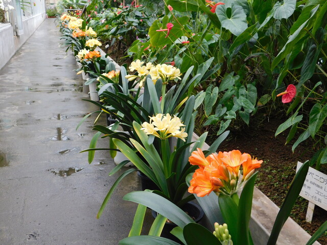 DSCN4814.JPG