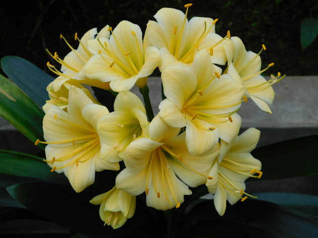 DSCN4816.JPG