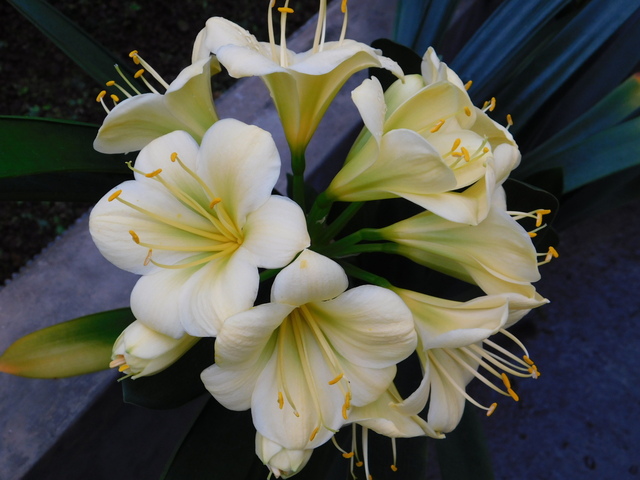 DSCN4819.JPG