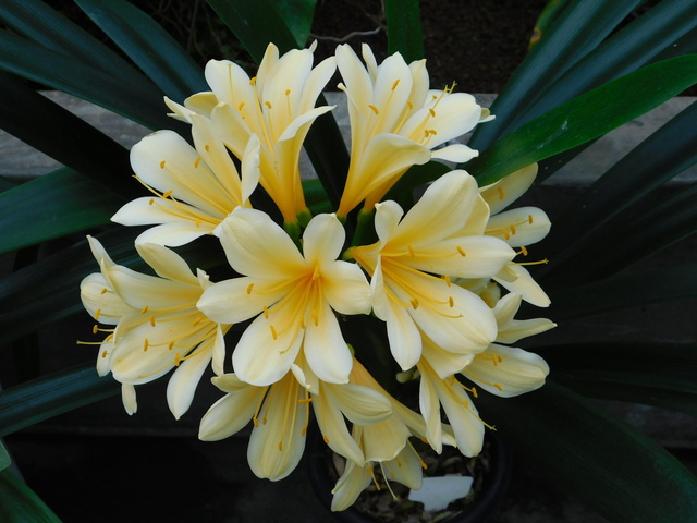 DSCN4821.JPG