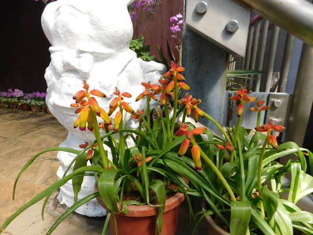 DSCN4823.JPG