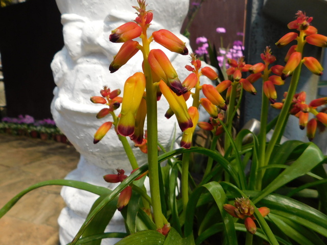 DSCN4825.JPG