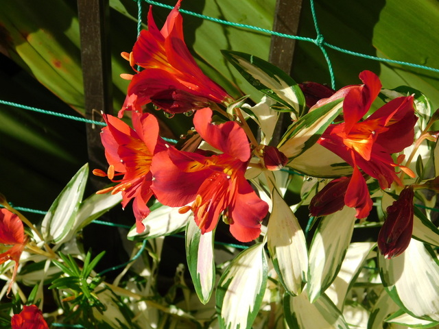 DSCN4834.JPG