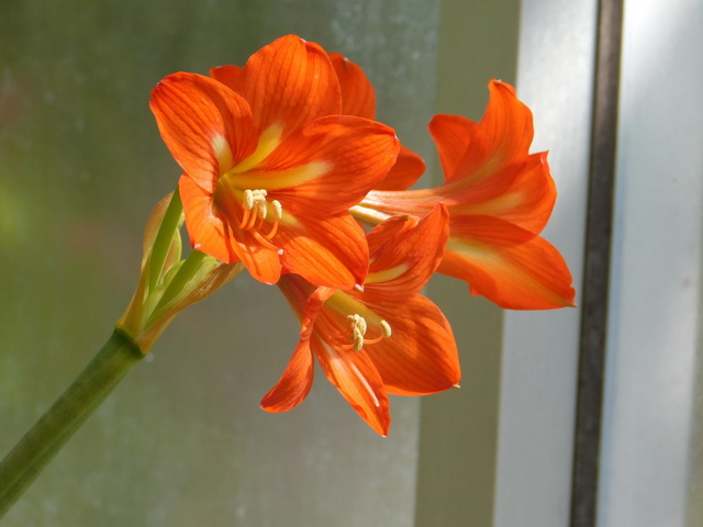 DSCN4837.JPG