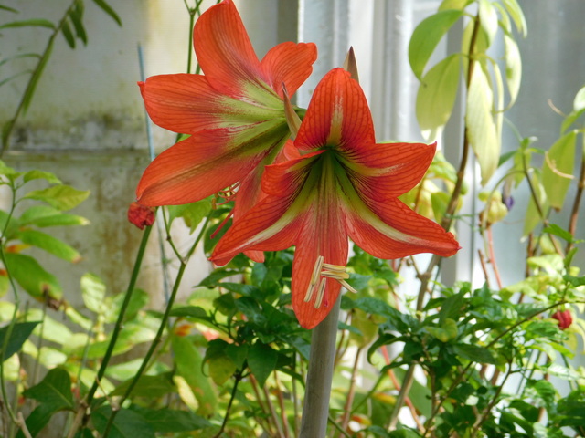 DSCN4838.JPG