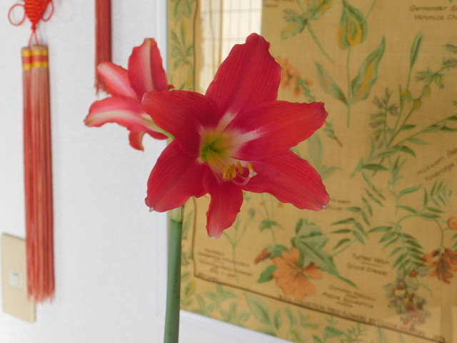 DSCN4839.JPG