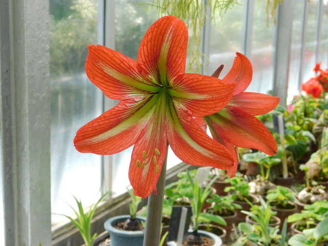 DSCN4840.JPG