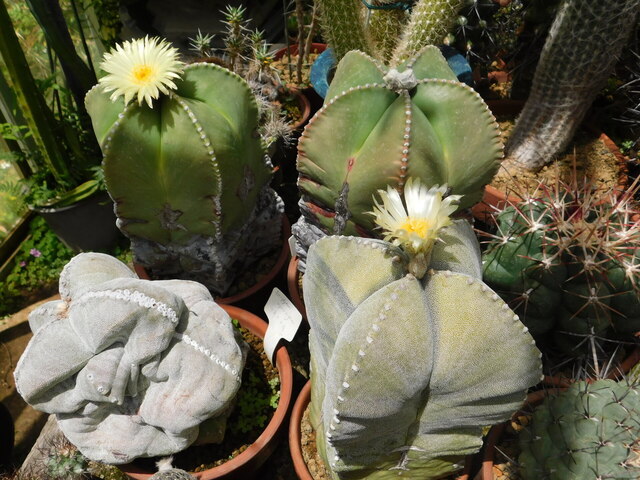 DSCN4863.JPG
