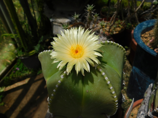 DSCN4866.JPG