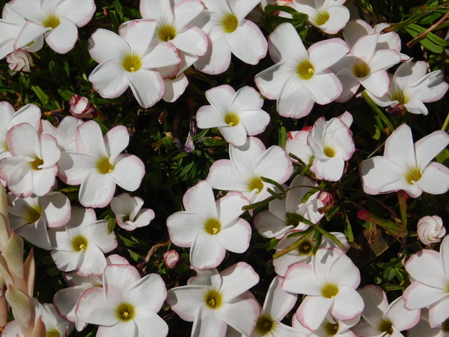 DSCN4869.JPG