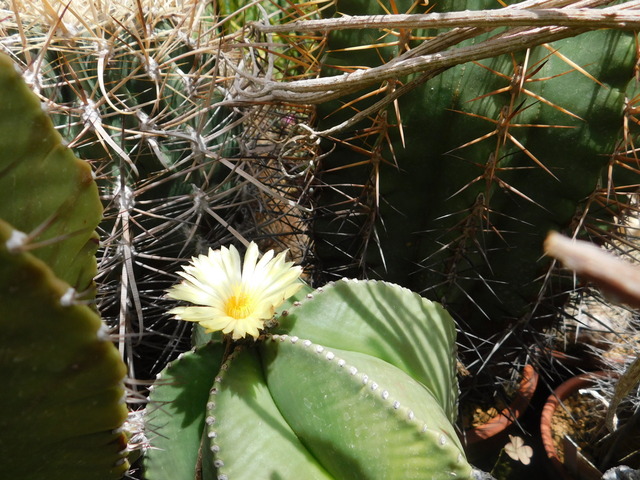 DSCN4878.JPG