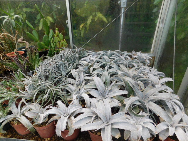 DSCN4890.JPG