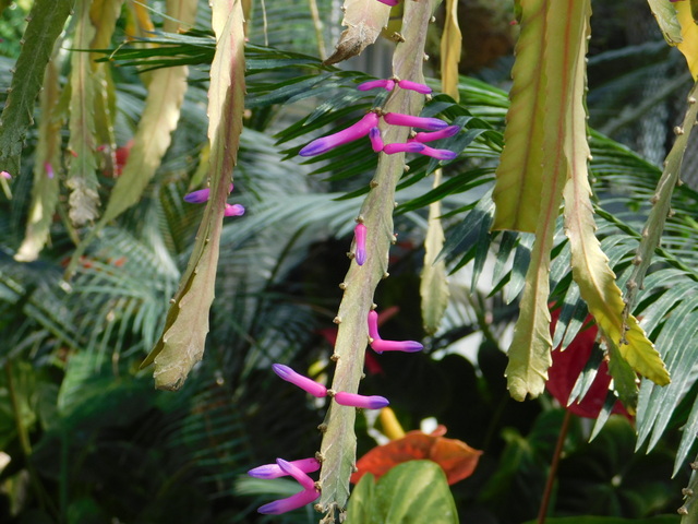 DSCN4911.JPG
