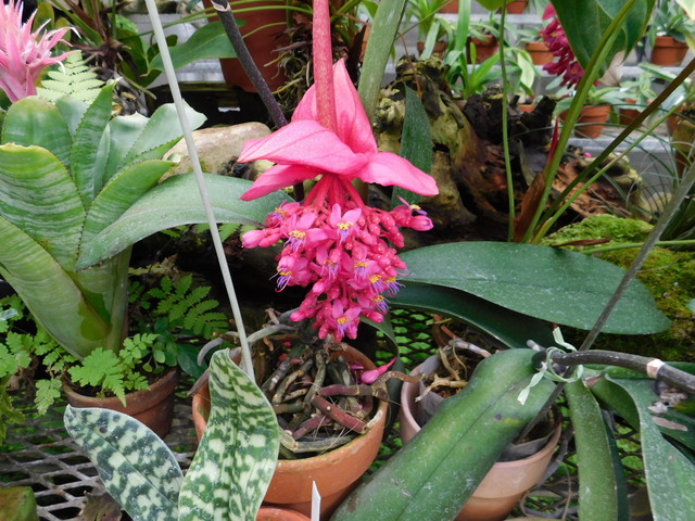 DSCN4914.JPG