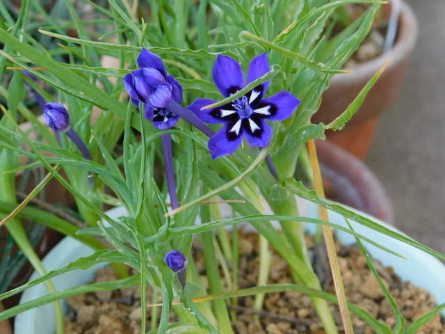 DSCN4918.JPG