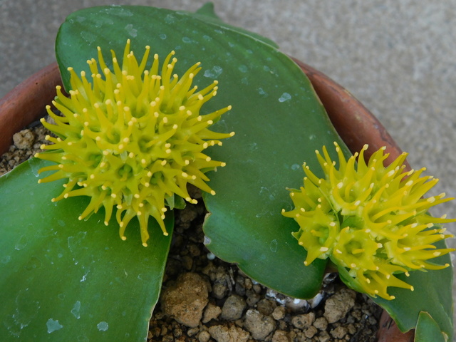 DSCN4924.JPG