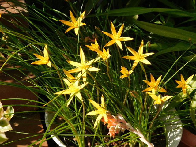 DSCN4926.JPG