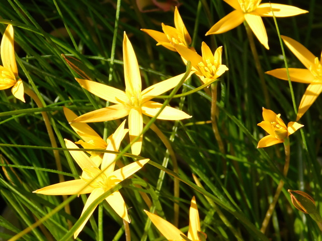 DSCN4928.JPG
