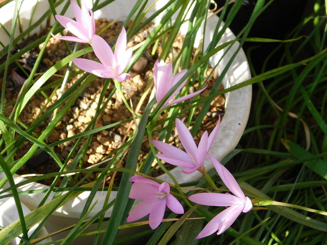 DSCN4932.JPG