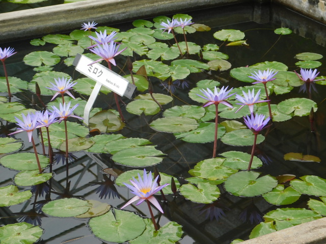 DSCN4942.JPG