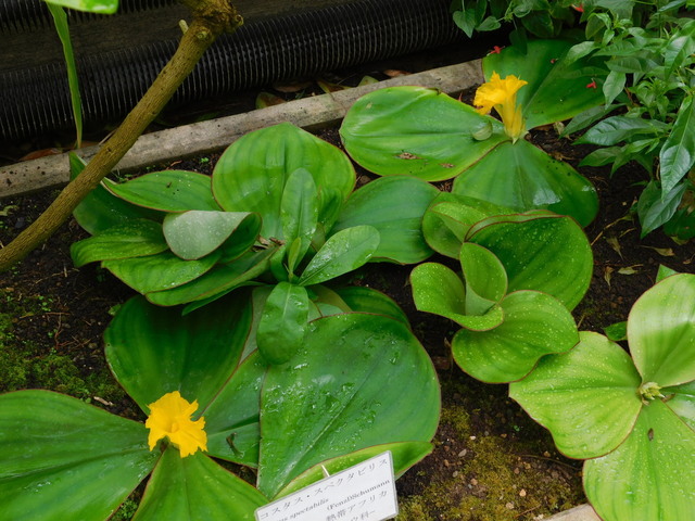 DSCN4945.JPG