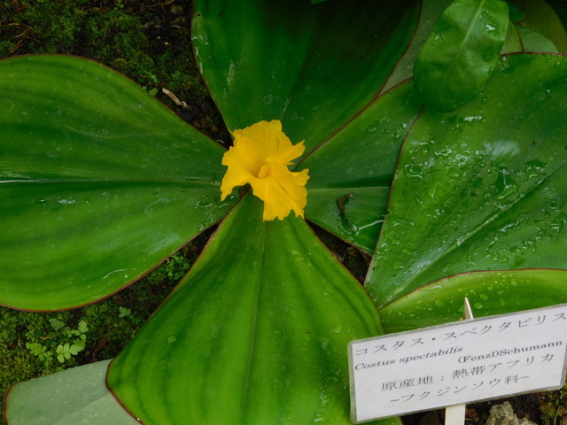 DSCN4948.JPG
