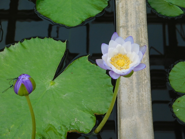 DSCN4951.JPG