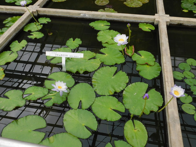 DSCN4953.JPG